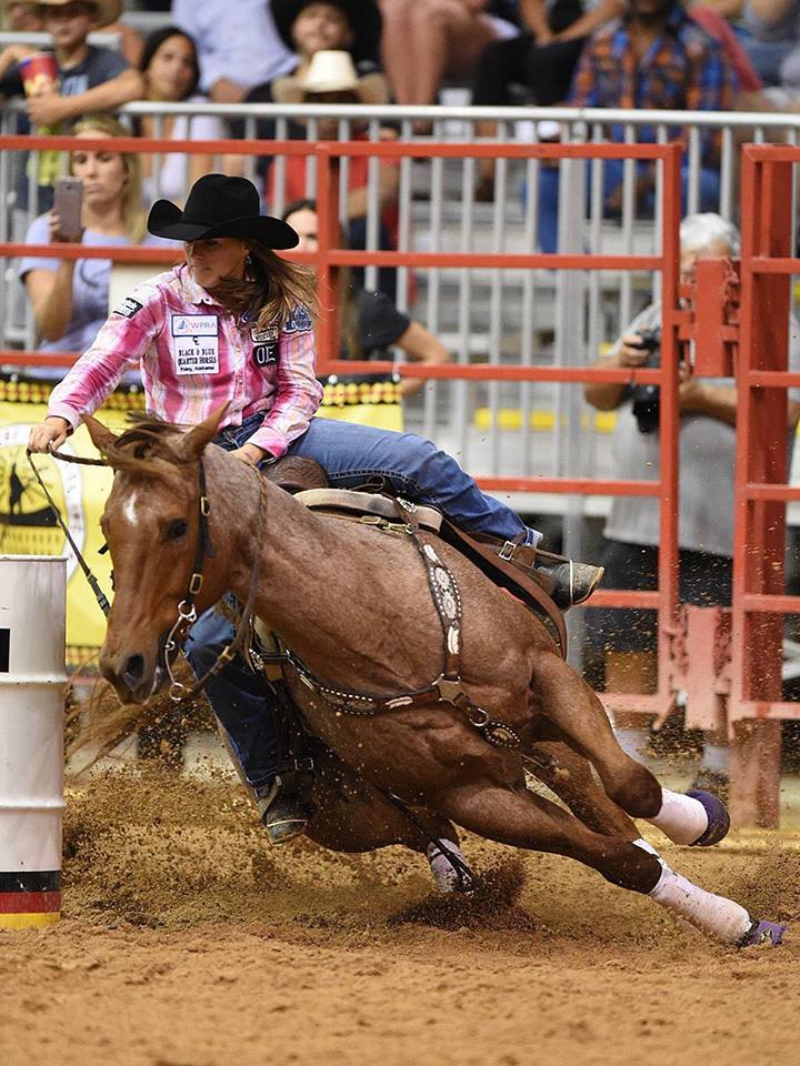 Black and Blue Quarter Horses and Longhorns Alabama